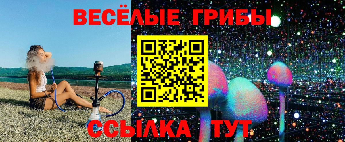 Камень-на-Оби  Псилоцибиновые грибы прущие грибы  Псилоцибиновые грибы Psilocybe  Вход с VPN 