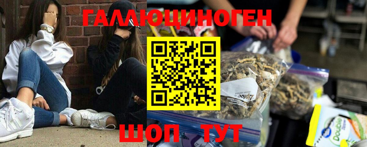 Псилоцибиновые грибы мухоморы Камень-на-Оби